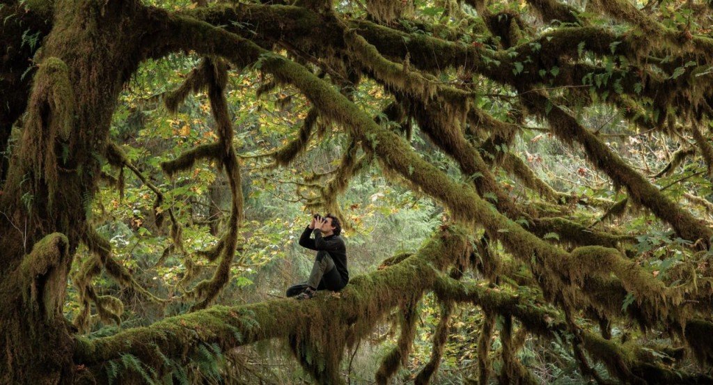 actualité chant des forets